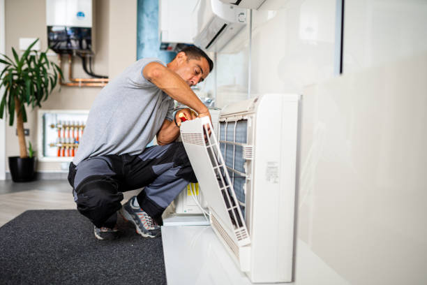 Best Air Duct Mold Removal  in Landisville, PA