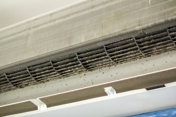 Best Affordable HVAC Duct Cleaning  in Landisville, PA